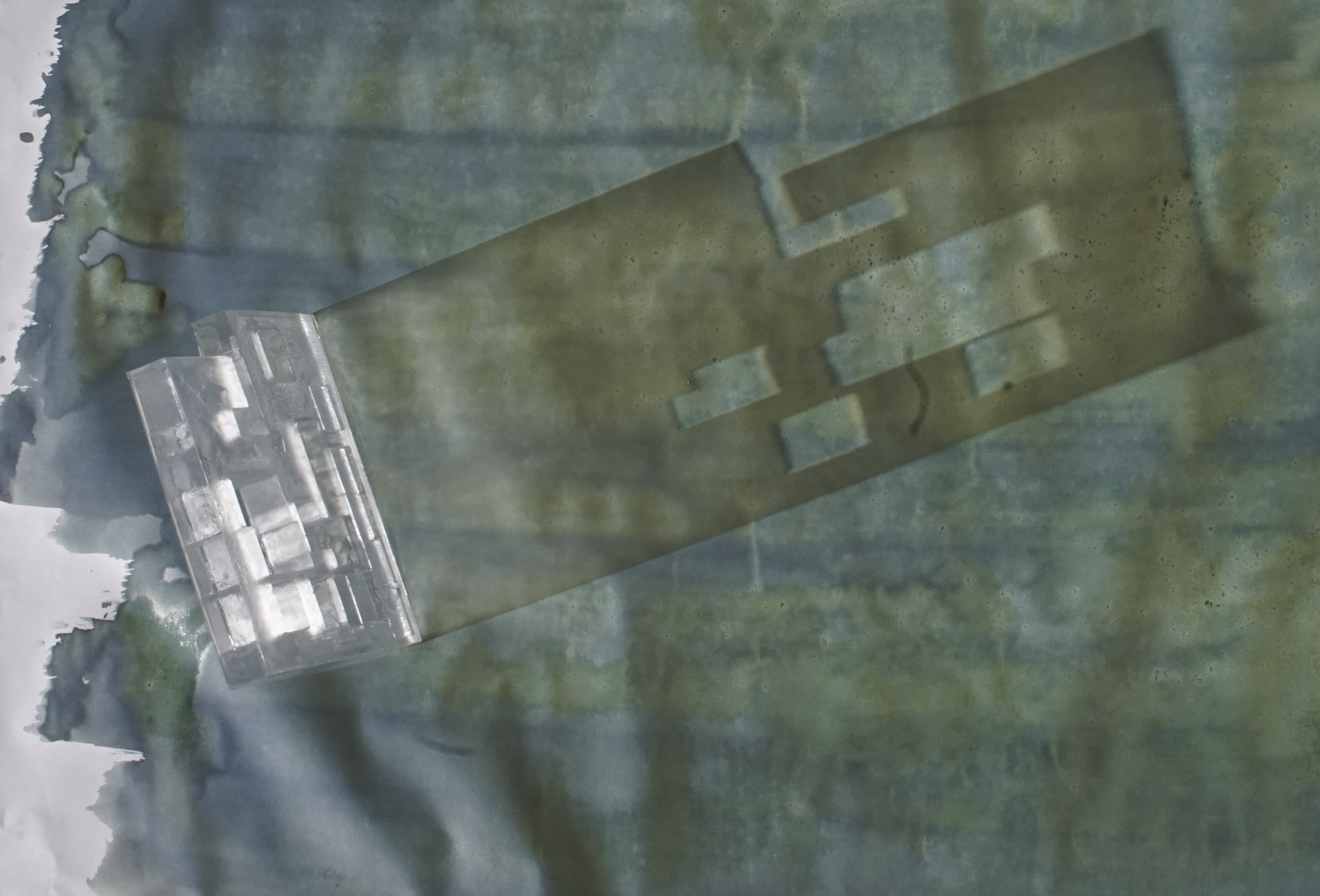 Cyanotype Print